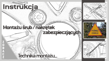 instrukcja_montazu_zabezpieczen_350x197